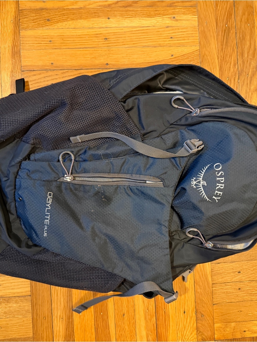OSPREY Daylite Plus Backpack in Black